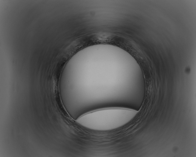 X0000097810651200803140800