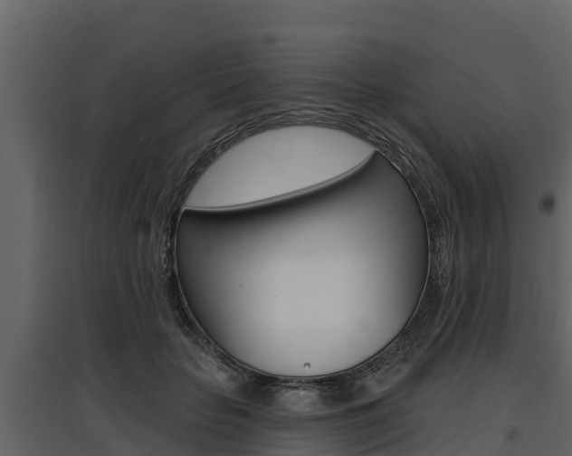 X0000097810653200803140800