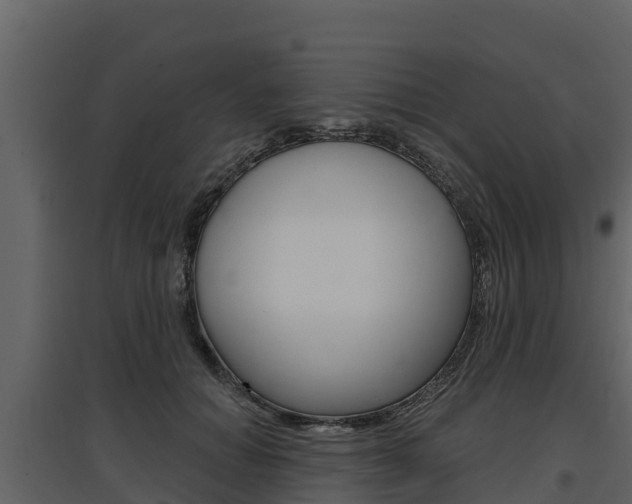X0000097810654200803140800
