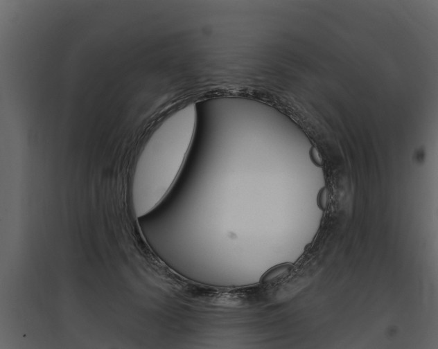 X0000097810656200803140800