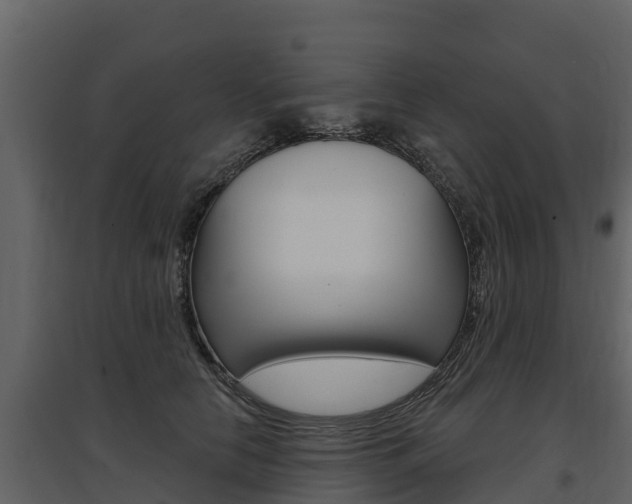 X0000097810658200803140800