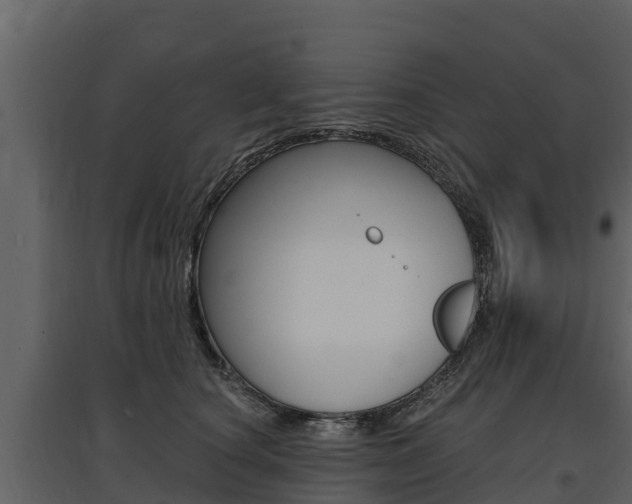 X0000097810660200803140800