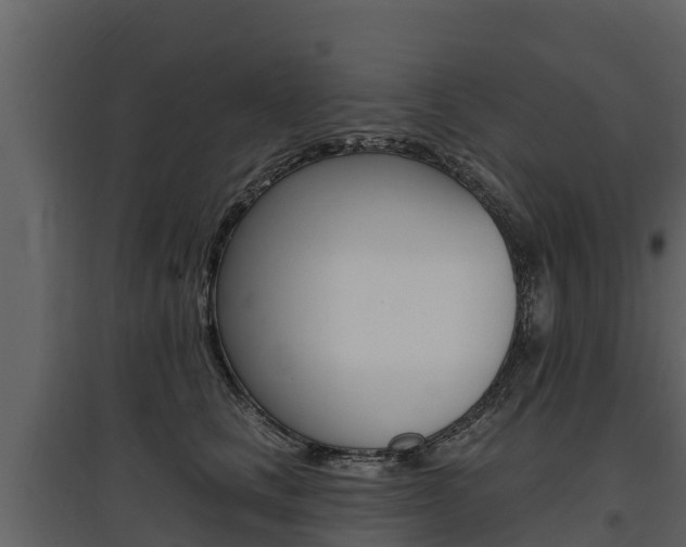 X0000097810661200803140800