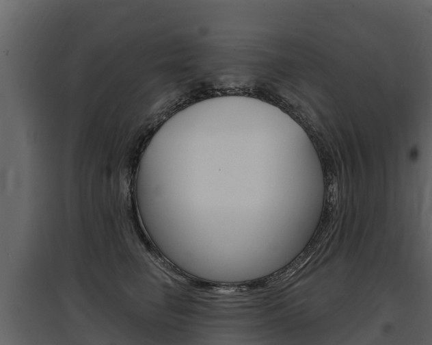 X0000097810662200803140800