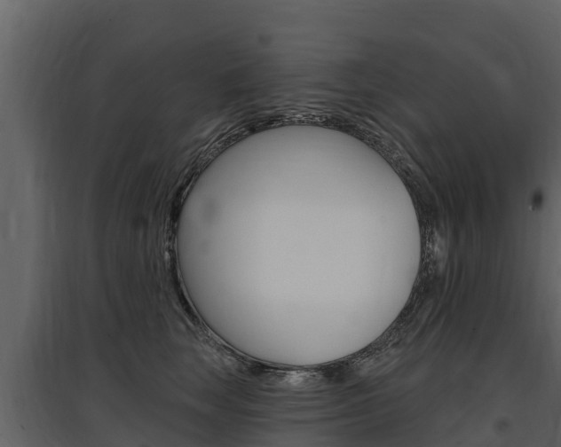 X0000097810663200803140800