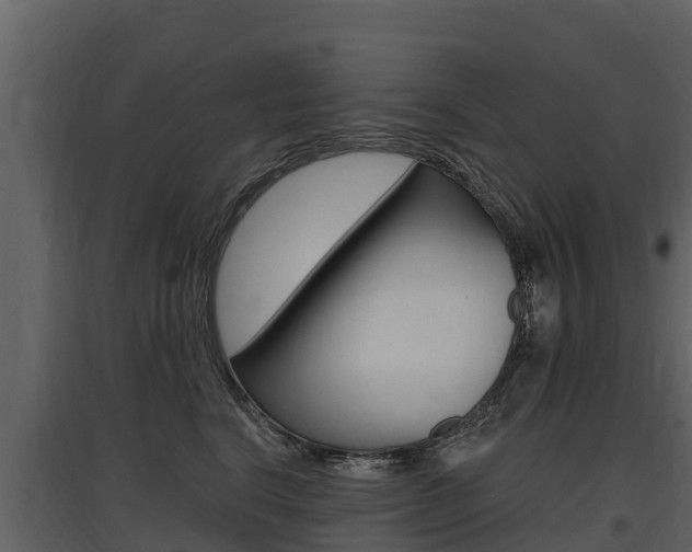 X0000097810664200803140800