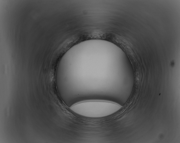 X0000097810665200803140800