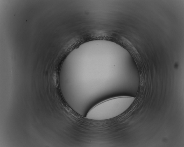 X0000097810669200803140800
