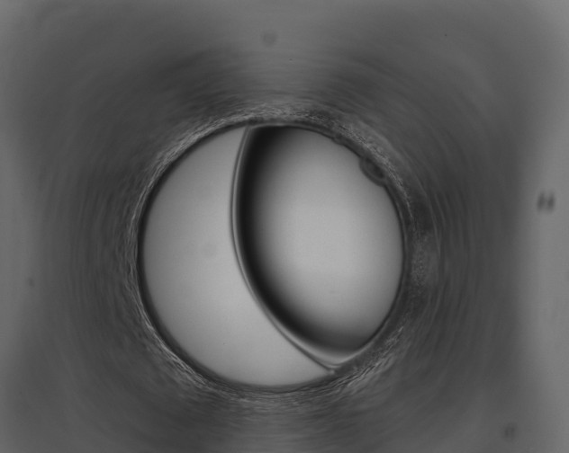 X0000097810673200803140759