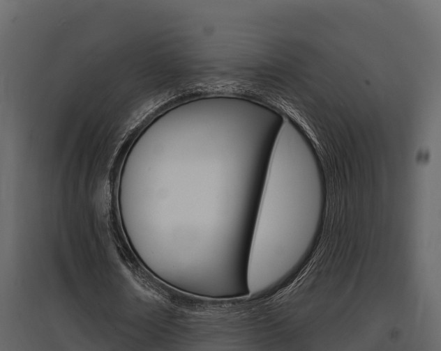 X0000097810674200803140759
