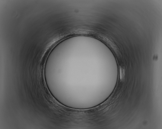 X0000097810675200803140759