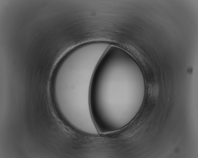 X0000097810676200803140759