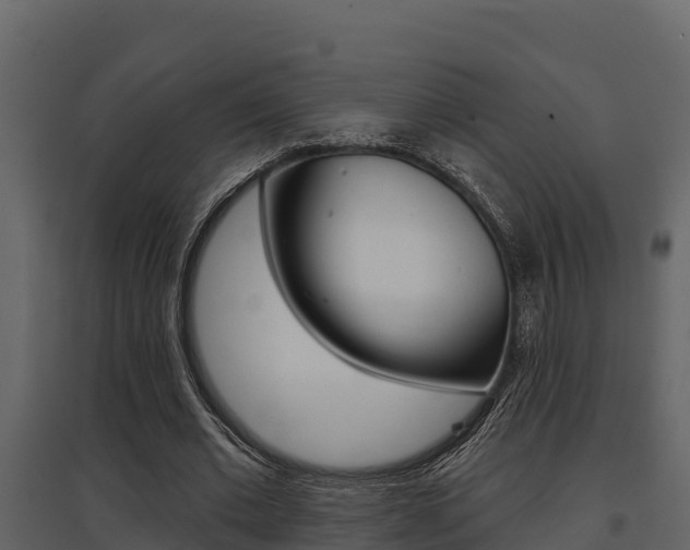 X0000097810677200803140759