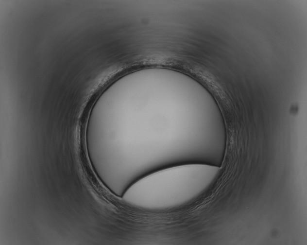 X0000097810678200803140759