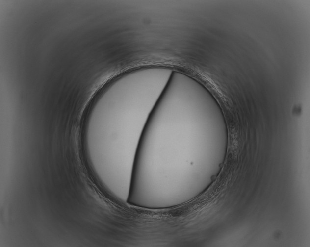 X0000097810679200803140759