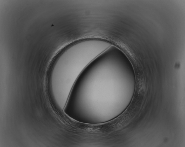 X0000097810680200803140759