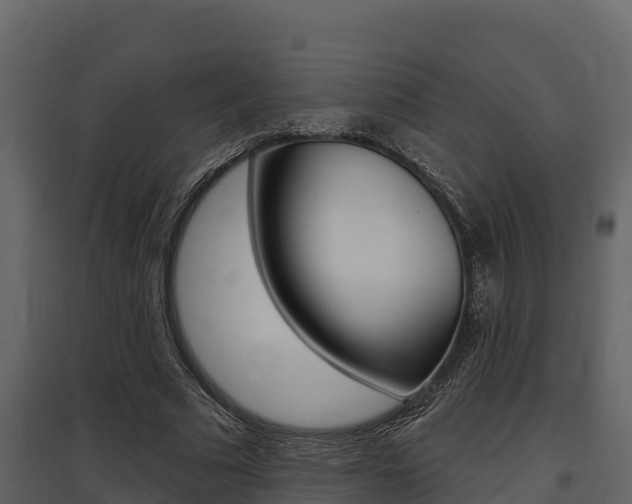 X0000097810681200803140759