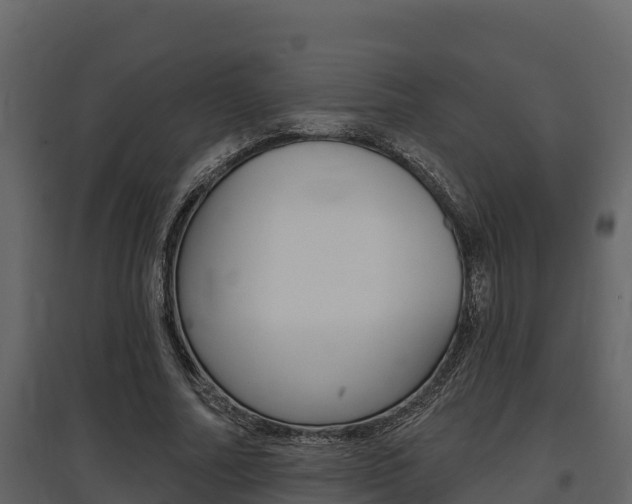 X0000097810682200803140759