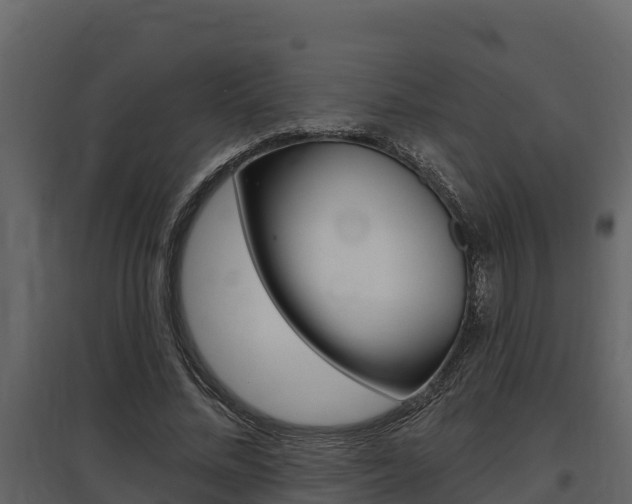 X0000097810684200803140759