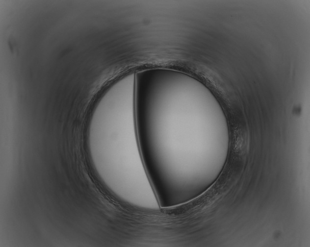 X0000097810685200803140759
