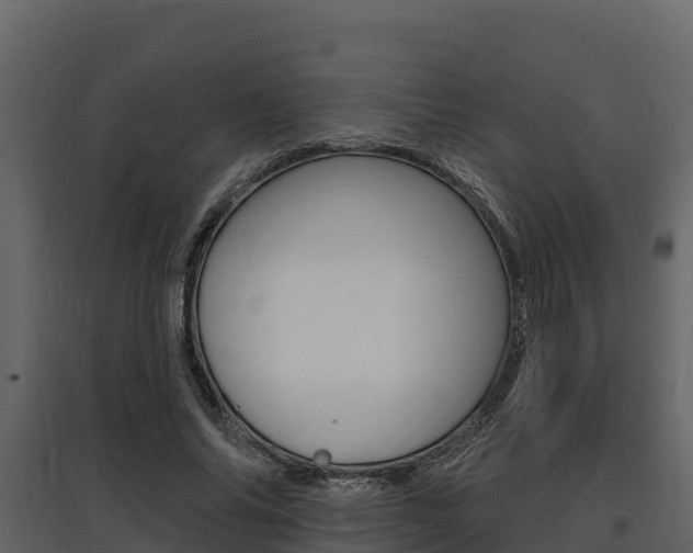 X0000097810686200803140759