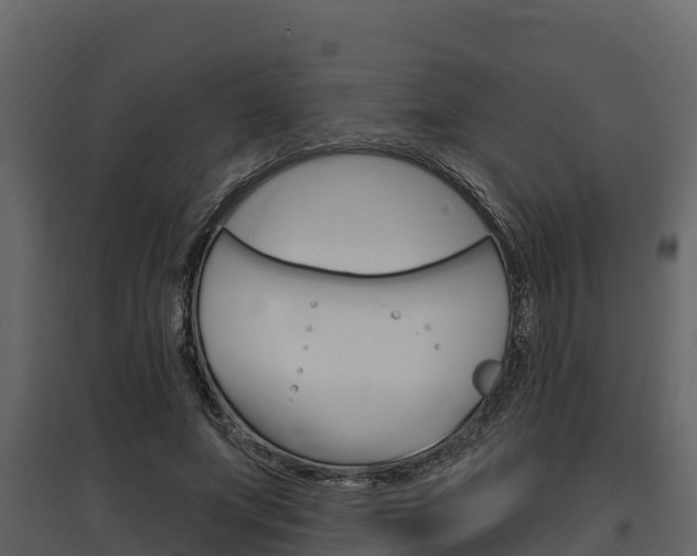 X0000097810687200803140759