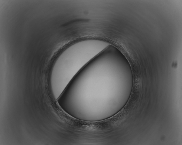 X0000097810688200803140759