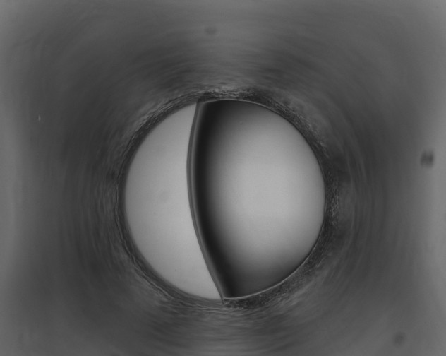 X0000097810689200803140759