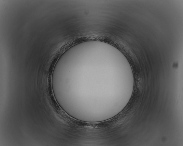 X0000097810690200803140759