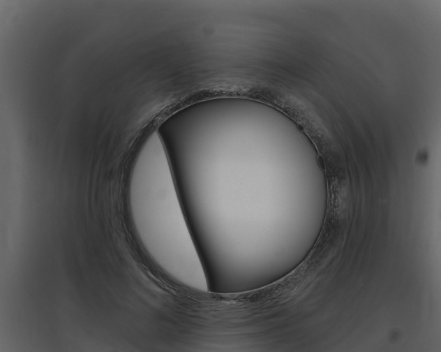 X0000097810692200803140759