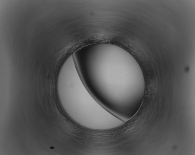 X0000097810693200803140759
