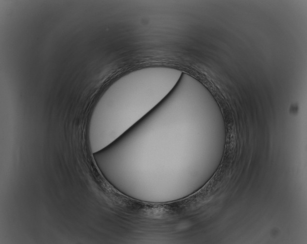 X0000097810695200803140759