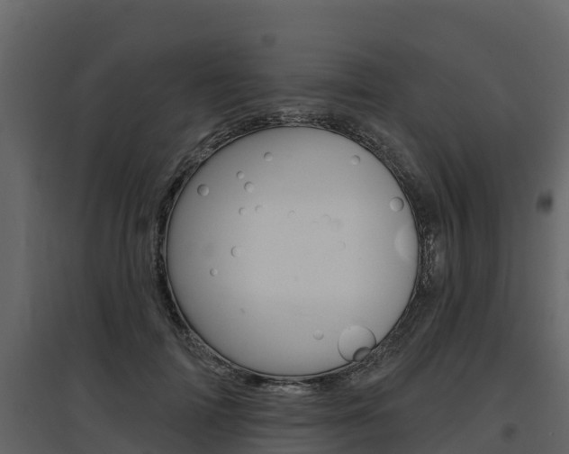 X0000097810698200803140759