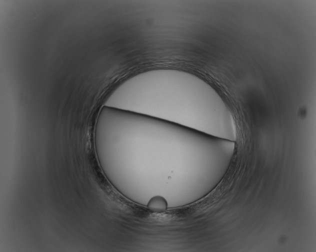 X0000097810699200803140759