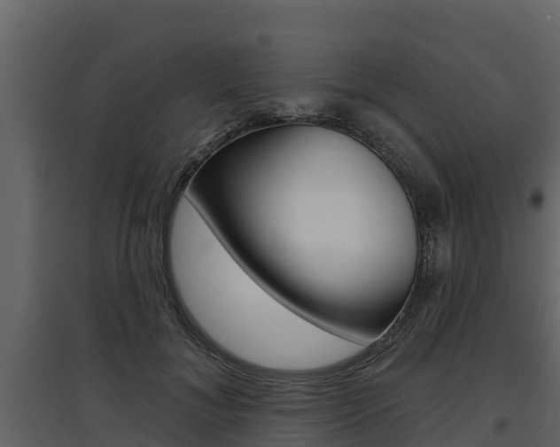 X0000097810700200803140759