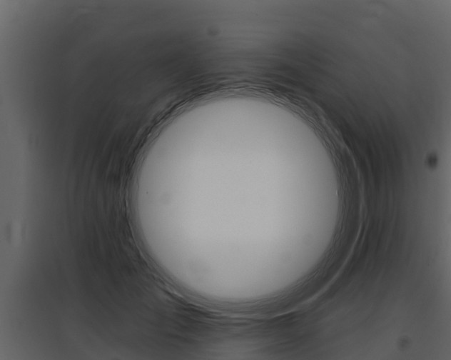 X0000097810701200803140759