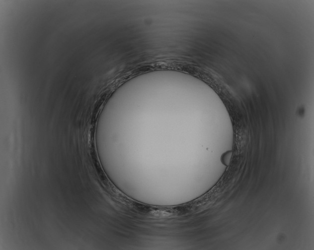 X0000097810703200803140759