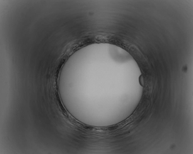 X0000097810706200803140759