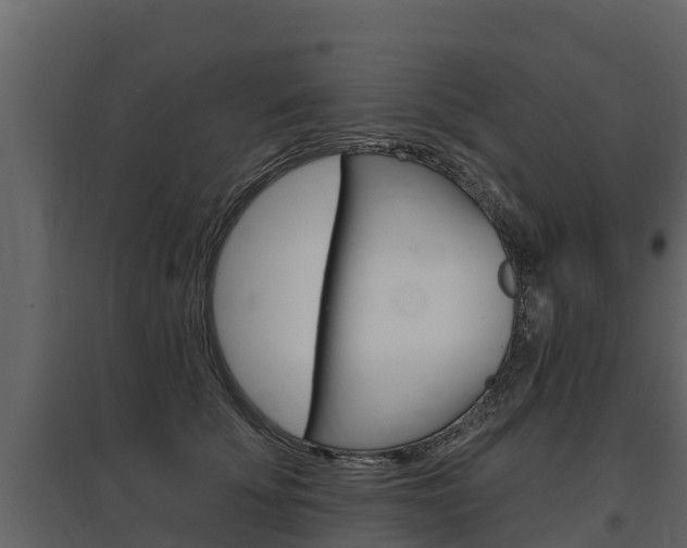 X0000097810707200803140759