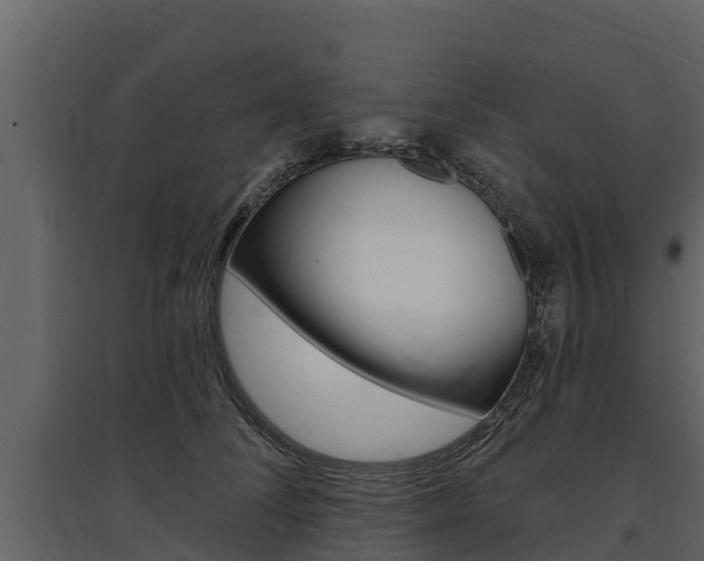 X0000097810708200803140759