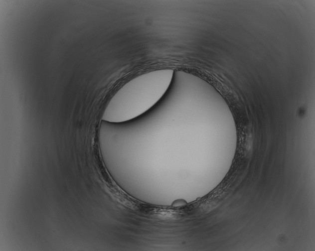 X0000097810710200803140759