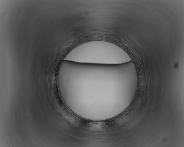 X0000097810711200803140759