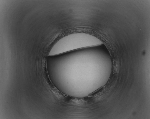 X0000097810712200803140759