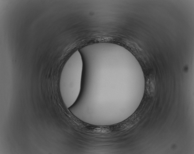 X0000097810714200803140759