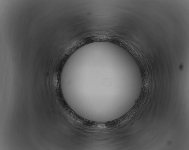 X0000097810715200803140759