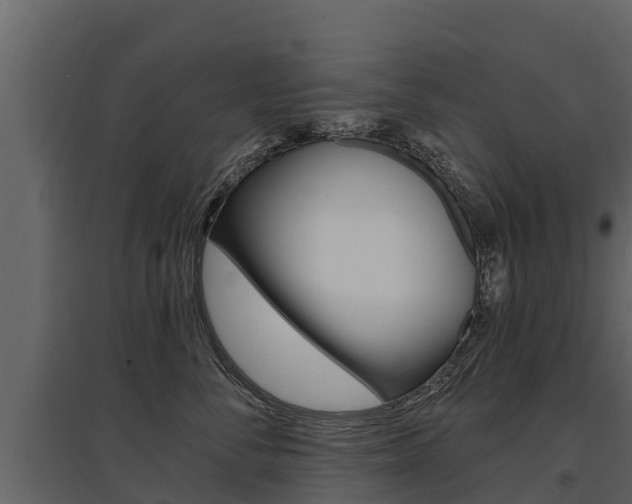 X0000097810716200803140759