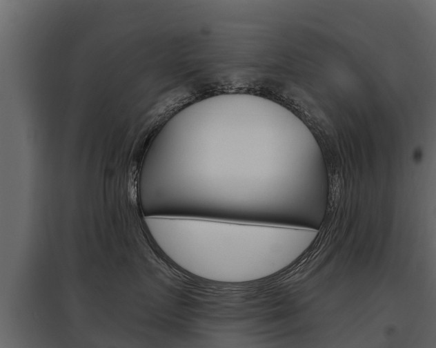 X0000097810719200803140759