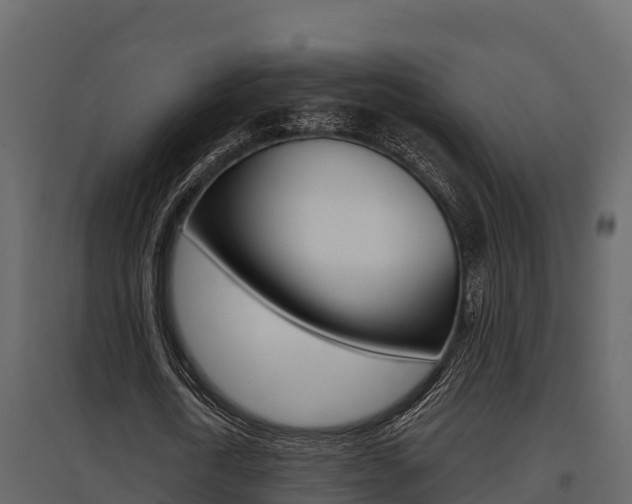 X0000097810722200803140758