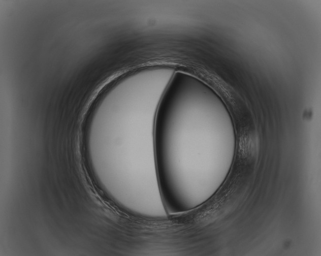 X0000097810724200803140758