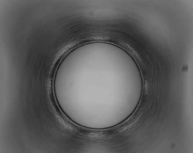 X0000097810725200803140758